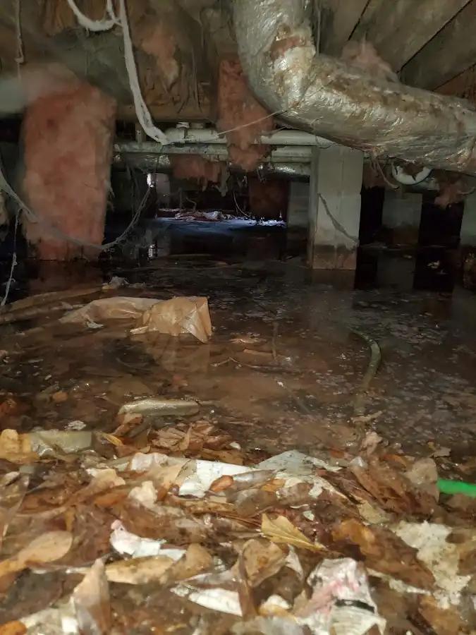 Crawl space flood assessment for Leak Detection & Repair in Mansfield